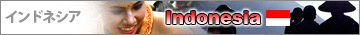�C���h�l�V�A